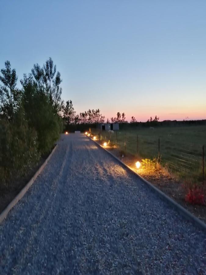 Gite Repos Et Tranquillite G Cayeux-sur-Mer Exteriör bild