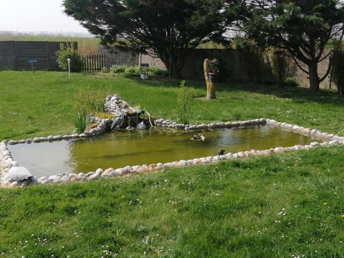Gite Repos Et Tranquillite G Cayeux-sur-Mer Exteriör bild