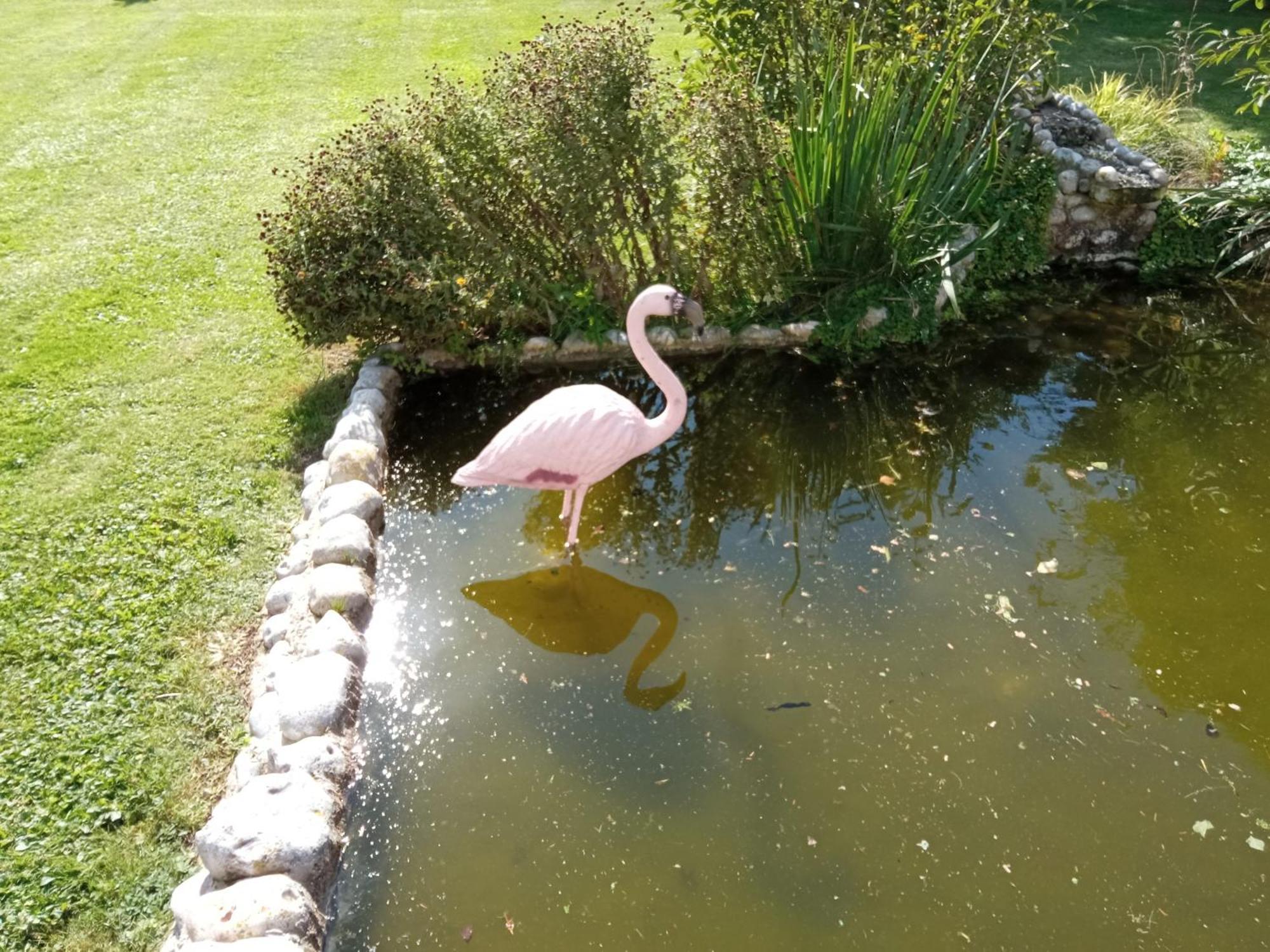 Gite Repos Et Tranquillite G Cayeux-sur-Mer Exteriör bild