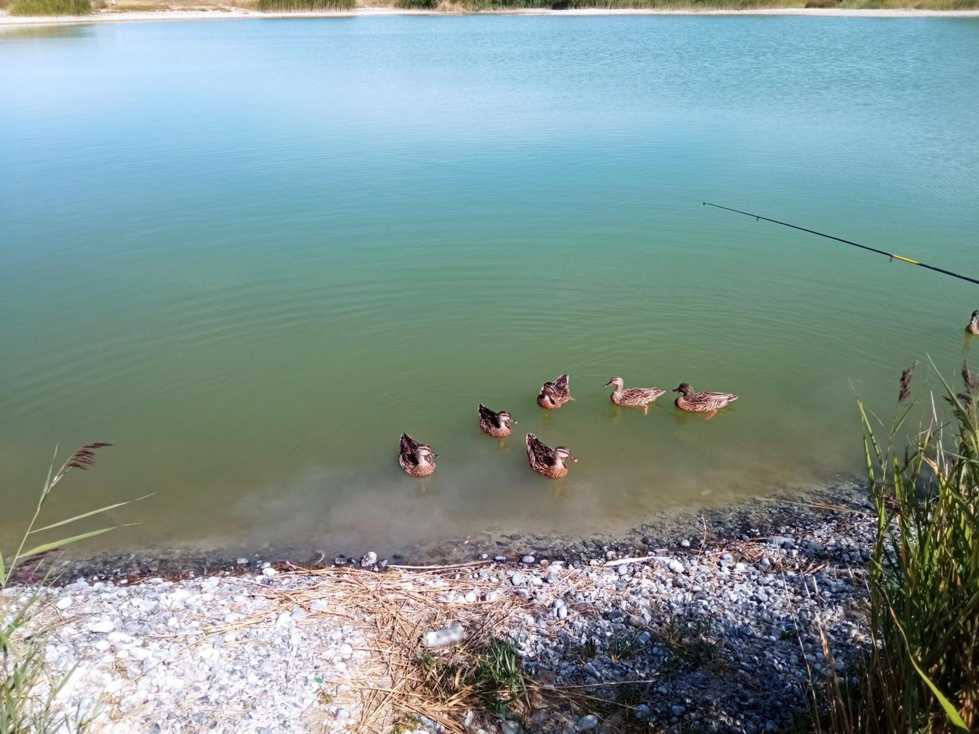 Gite Repos Et Tranquillite G Cayeux-sur-Mer Exteriör bild