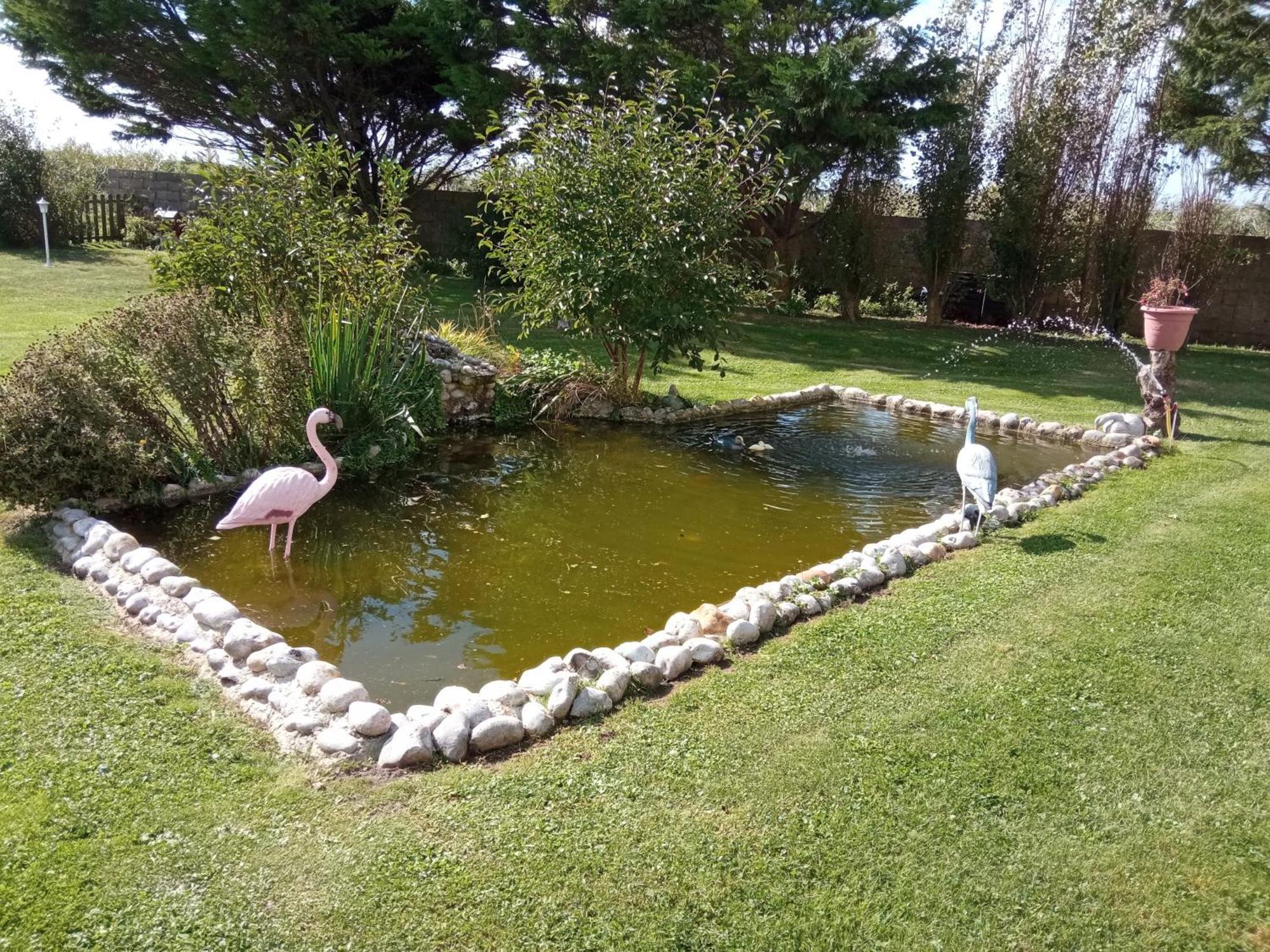 Gite Repos Et Tranquillite G Cayeux-sur-Mer Exteriör bild