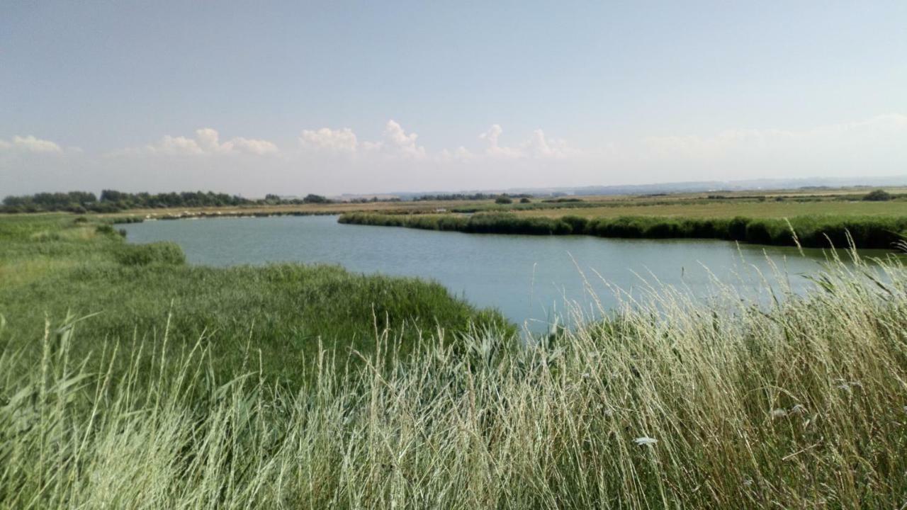 Gite Repos Et Tranquillite G Cayeux-sur-Mer Exteriör bild